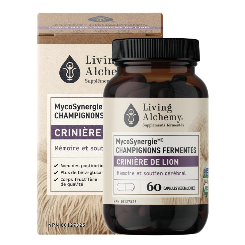 Crinière de lion (Hydne hérisson, Lion's Mane) - Living Alchemy - 60 capsules